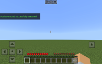 Screenshot_20240501_162409_Minecraft.jpg