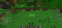 Minecraft_2024-05-29-15-29-37.jpg