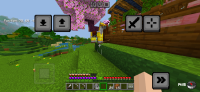 Screenshot_2024-05-31-19-46-31-459_com.mojang.minecraftpe.jpg