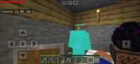 Screenshot_20240603_191709_Minecraft.jpg