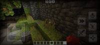 Screenshot_20240529-160215_Minecraft.jpg