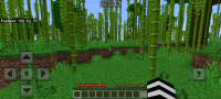 Screenshot_20240614_184437_Minecraft.jpg