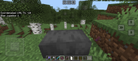 Screenshot_20240614_121856_Minecraft.jpg