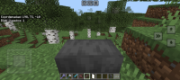 Screenshot_20240614_121823_Minecraft-1.jpg