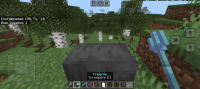 Screenshot_20240614_121920_Minecraft.jpg