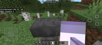 Screenshot_20240614_121810_Minecraft.jpg