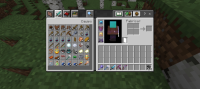 Screenshot_20240614_121950_Minecraft.jpg