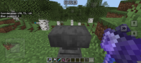 Screenshot_20240614_122933_Minecraft.jpg