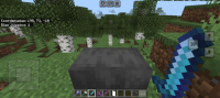 Screenshot_20240614_121914_Minecraft.jpg