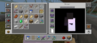 Screenshot_20240615_015120_com.mojang.minecraftpe.jpg