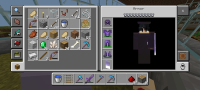 Screenshot_20240615_015109_com.mojang.minecraftpe.jpg