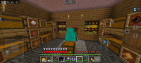 Screenshot_20240617_181502_com.mojang.minecraftpe.jpg