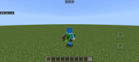 Screenshot_20240617-200650_Minecraft-1.jpg