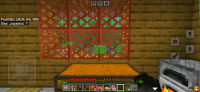 Screenshot_20240618-123127_Minecraft.jpg