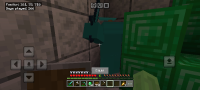 Screenshot_20240628_152001_Minecraft.jpg