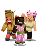 image from the official Minecraft wiki.png