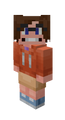 image from the official Minecraft wiki.png