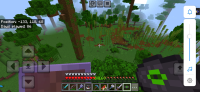 Screenshot_20240629_174018_com.mojang.minecraftpe.jpg