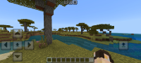 Screenshot_2024-07-11-06-24-56-222_com.mojang.minecraftpe.jpg