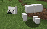 Baby Polar Bear.png