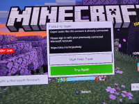 Minecraft Issue.jpg