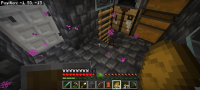 Screenshot_20240821_225032_Minecraft.jpg