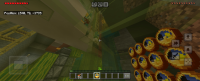 Screenshot_20240822_143959_Minecraft.jpg