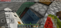 Screenshot_20240906_114230_Minecraft.jpg