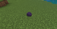 Endermite_BE.png