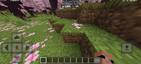 Screenshot_20240928_125125_com.mojang.minecraftpe.jpg