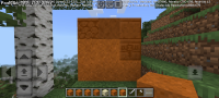 Screenshot_20241010_142330_Minecraft.jpg