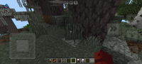 Screenshot_20241009-103443_Minecraft.jpg