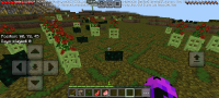 Screenshot_20241023-120929_Minecraft.jpg