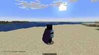 Java Elytra.png