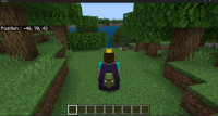 Bedrock Elytra.png