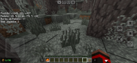 Screenshot_20241023-175324_Minecraft.jpg