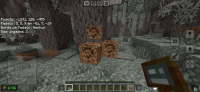 Screenshot_20241023-175501_Minecraft.jpg