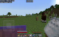 Screenshot_20241026_151946_Minecraft.jpg