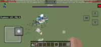 Beta 1.21.50.22 Wither with shield(left side head looking me).jpg