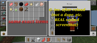 Screenshot_20241116_210719_Minecraft.jpg