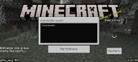 Screenshot_2024-12-08-17-10-48-342_com.mojang.minecraftpe.jpg