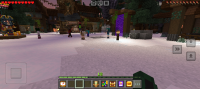 Screenshot_20241210_204313_com_mojang_minecraftpe_MainActivity.jpg