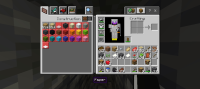 Screenshot_2025-01-10-20-54-41-971_com.mojang.minecraftpe.jpg