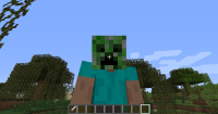 14w18b Mobhead Bug before.png