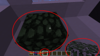 Minecraft Bug.PNG